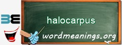 WordMeaning blackboard for halocarpus